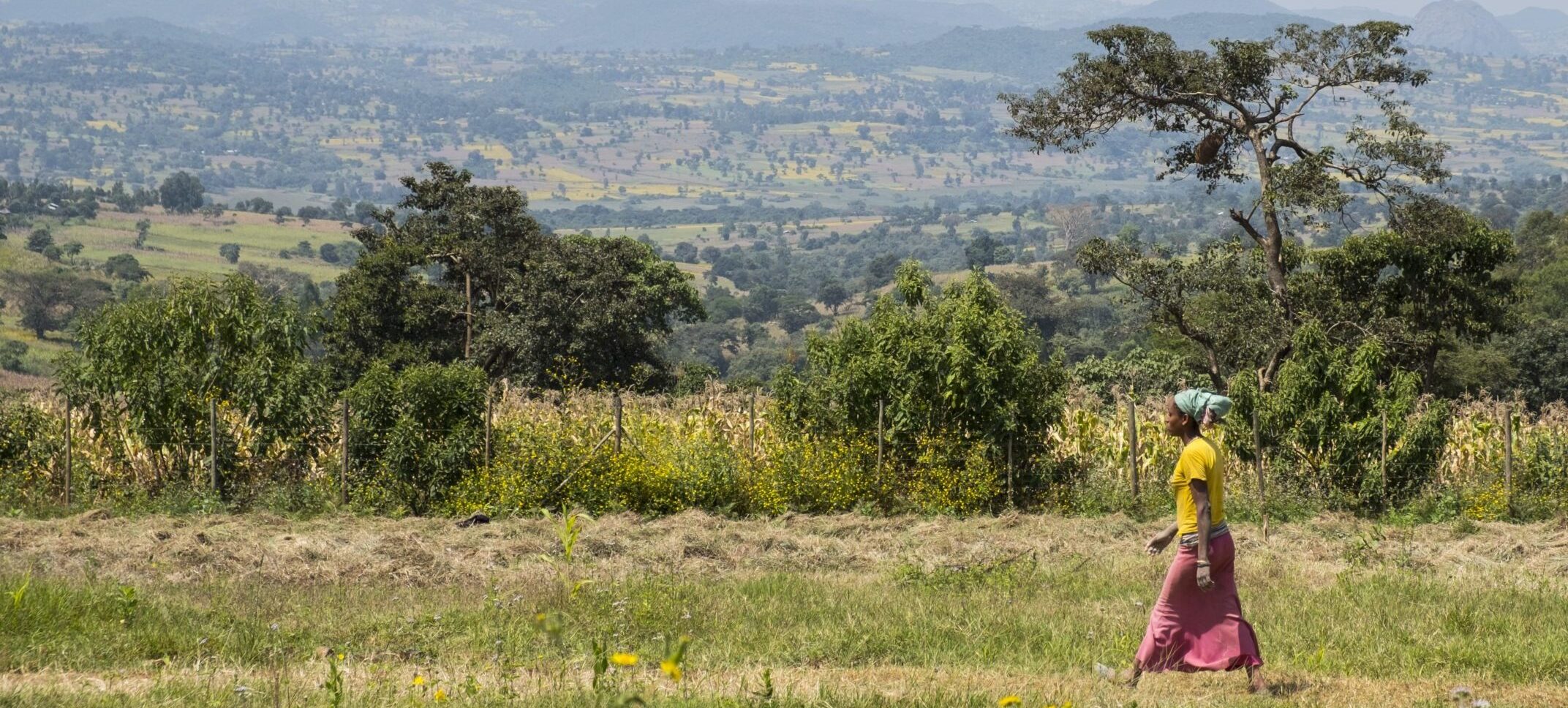 Woman in the Illu Gelan project area