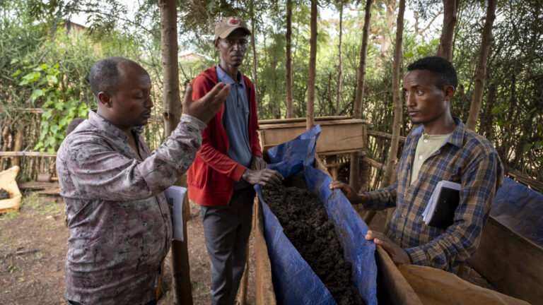 Production of vermicompost in the Nono Benja project area