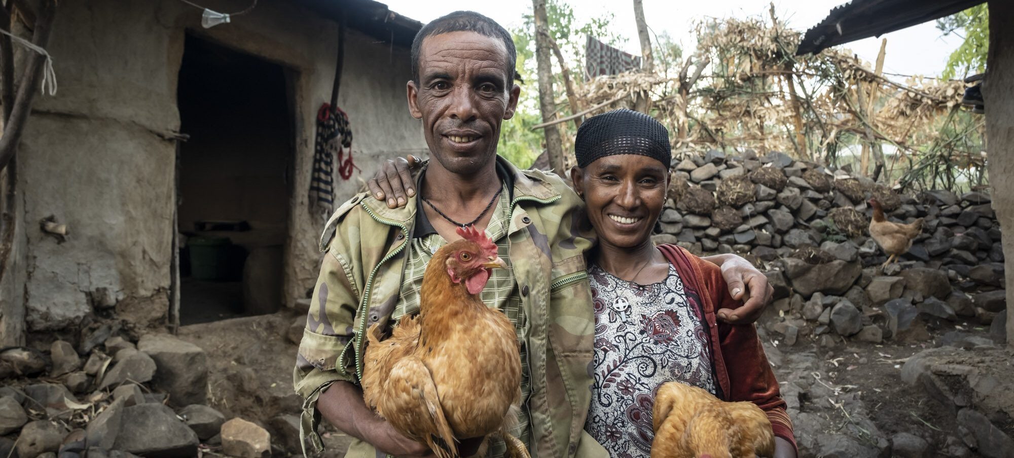 Model farmer Alemu and his wife Almaz received chickens that give them eggs every day.