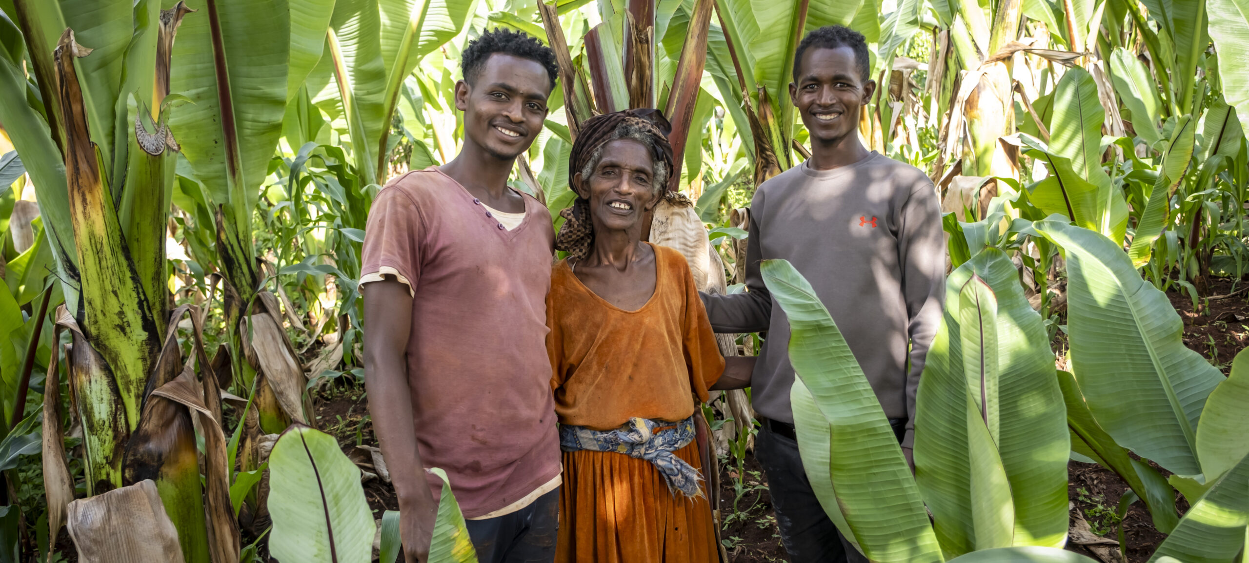 Three farmers, two young boys and one elderly woman, in the Boreda project area