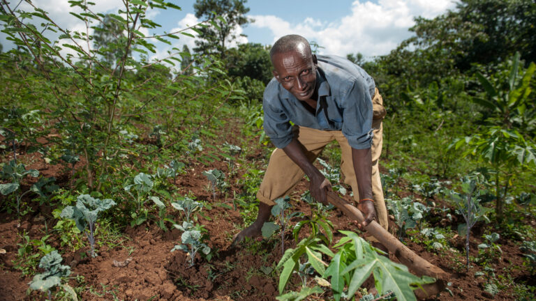 Farmer in Dano