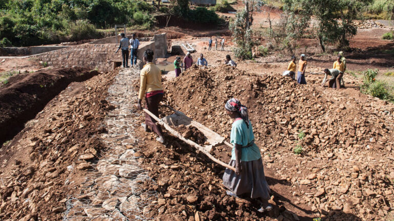 Field work in Dano