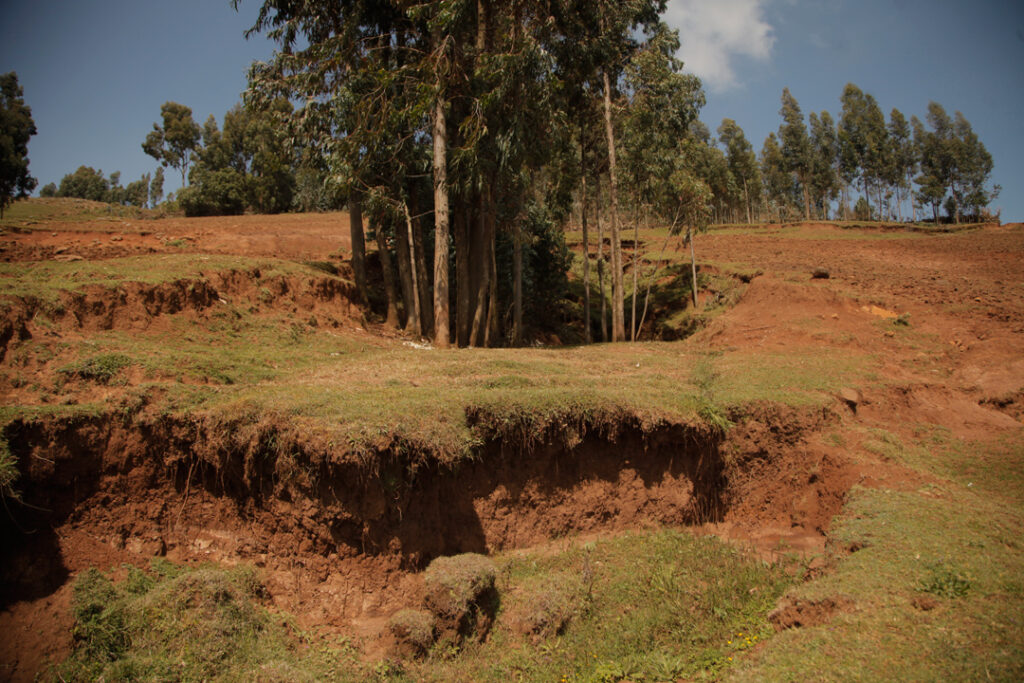 Severe erosion leads to many fields becoming unusable in Jeldu