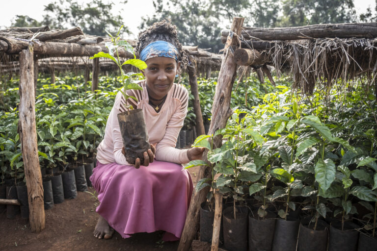 Woman working in a tree nursery in Nono Benja