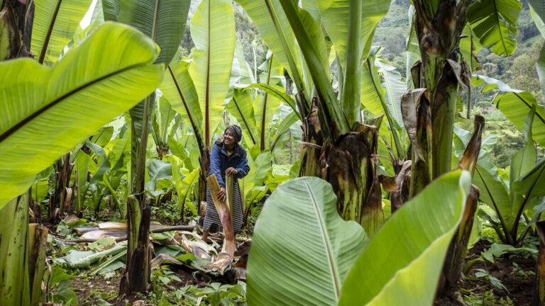 Woman working on a field