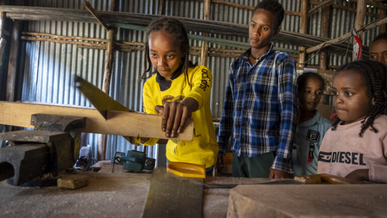 Introduction to work from a young age in Abdii-Borii