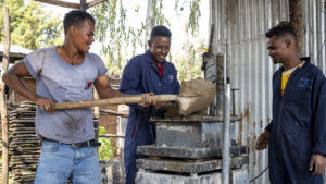 Projektgebiet Nono Benja Ziegelsteinproduktion -Sesu Bekele, 35 (rotes Polohemd, MfM-Blaumann), ist Teil des Teams, das in der Kleinstadt Alga Ziegelsteine produziert - Einkommen