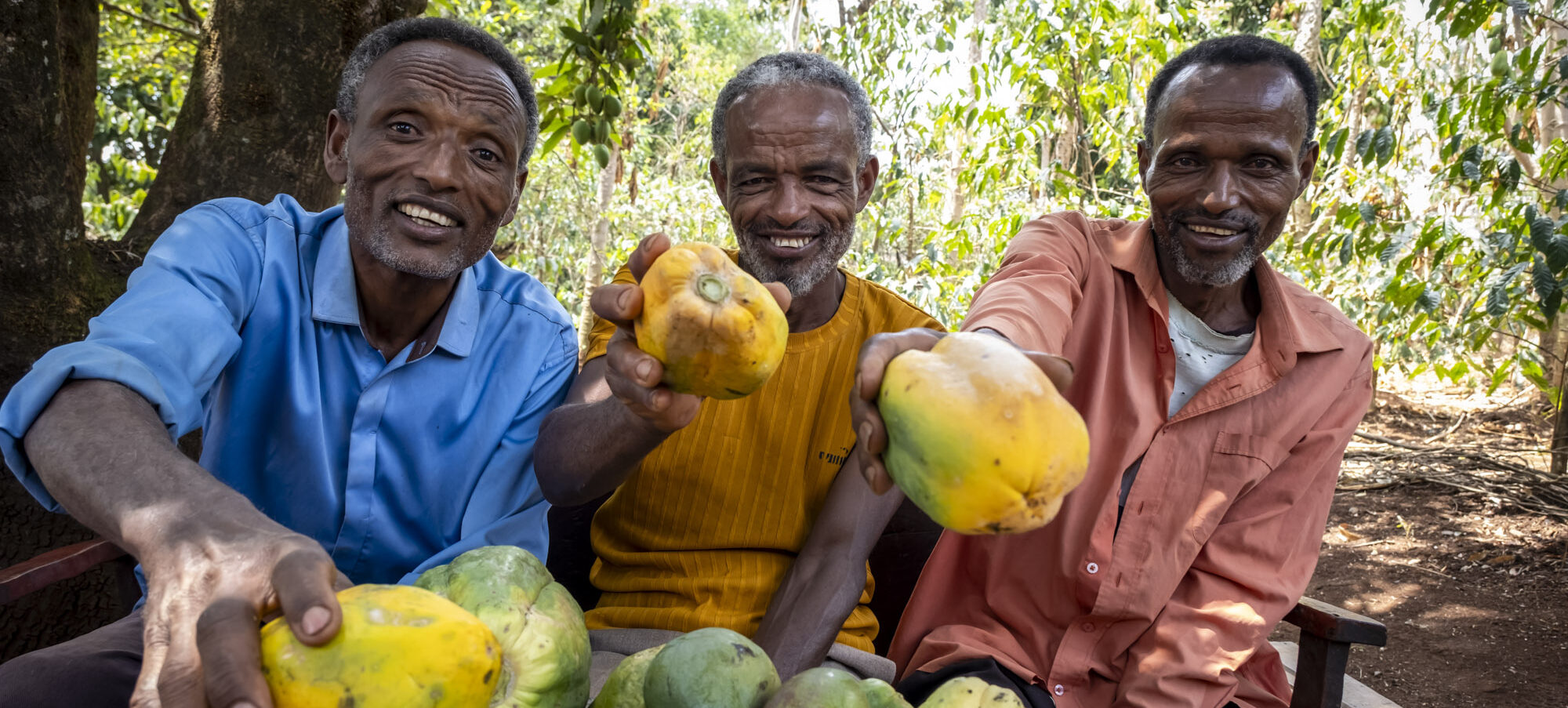Three smiling men are offering papayas, and there are more papayas on the table in front of them.