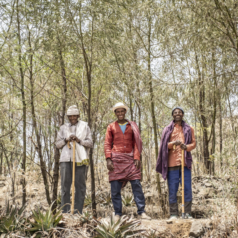 Three people standing outdoors among trees, holding tools in their hands and smiling, represent our community project.