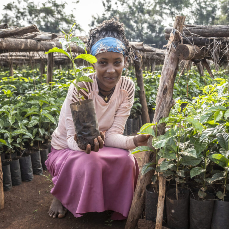 A smiling woman kneels in a tree nursery, holding a young seedling in her hand to support reforestation efforts.