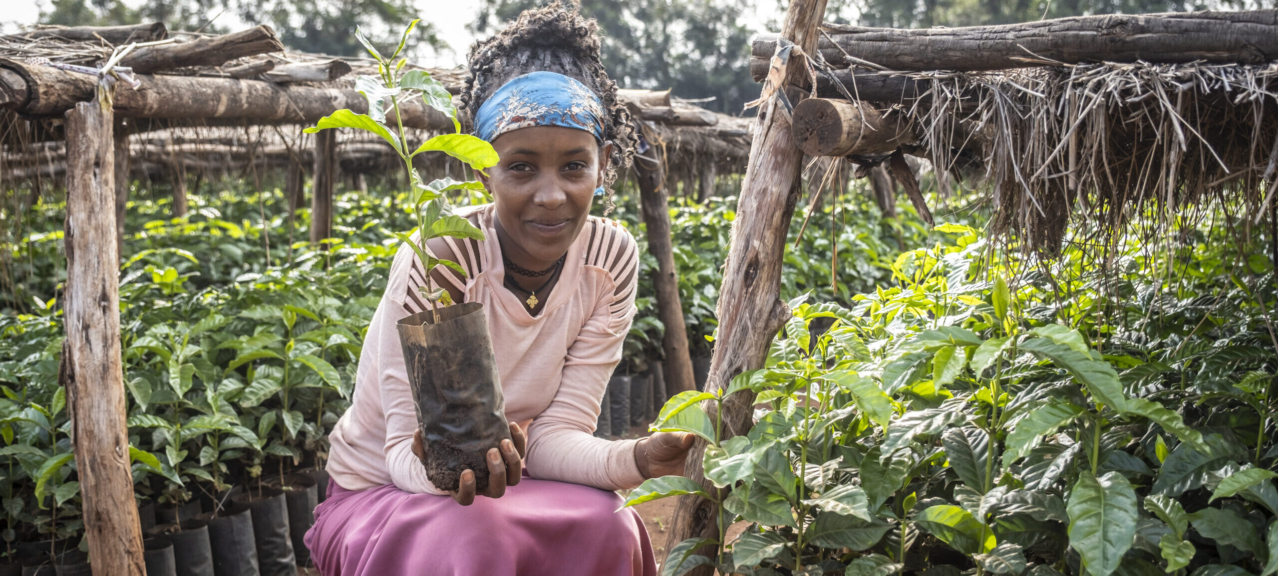 A smiling woman kneels in a tree nursery, holding a young seedling in her hand to support reforestation efforts.