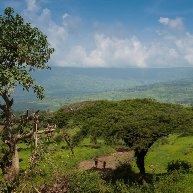Two people are walking through a green valley with trees and hills under a cloudy blue sky.