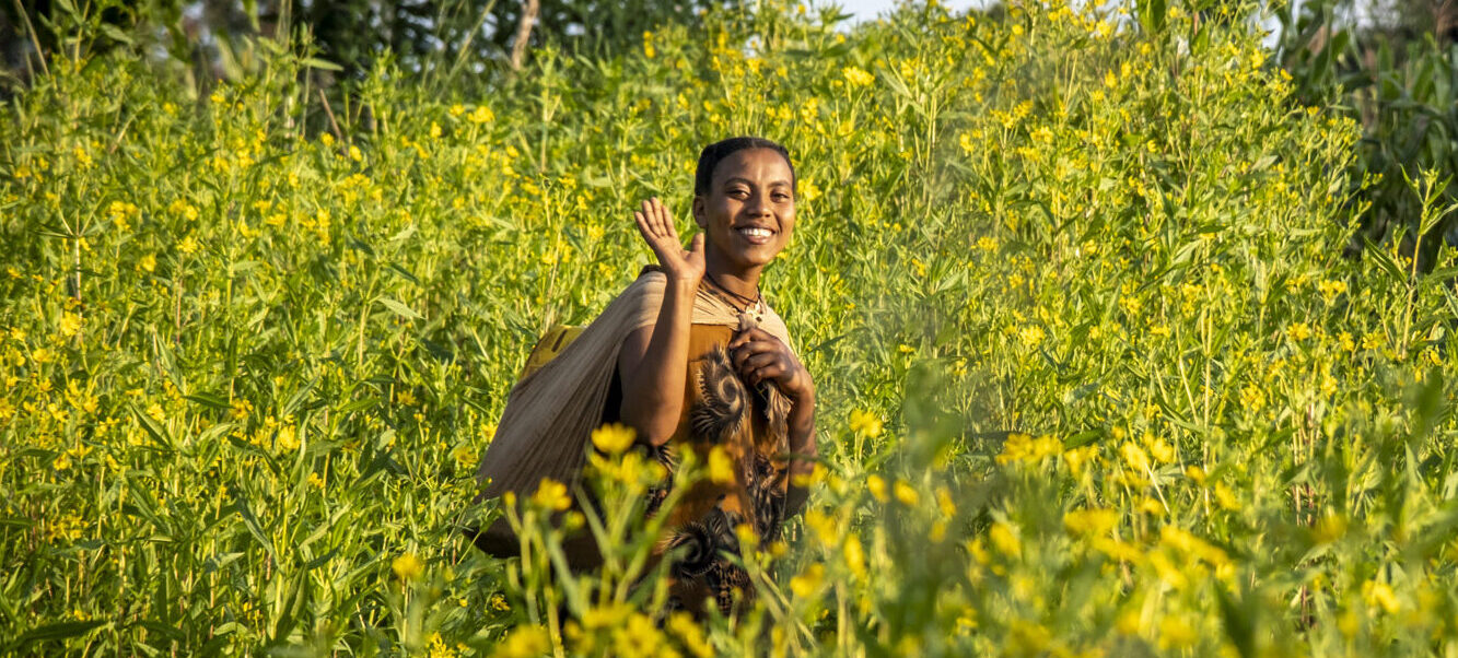 A woman is walking across a field with yellow flowers. She carries a water canister on her back.