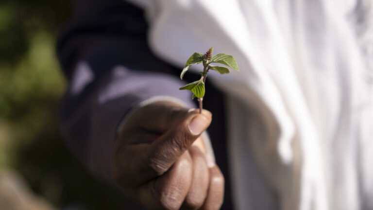 Project area Ankober