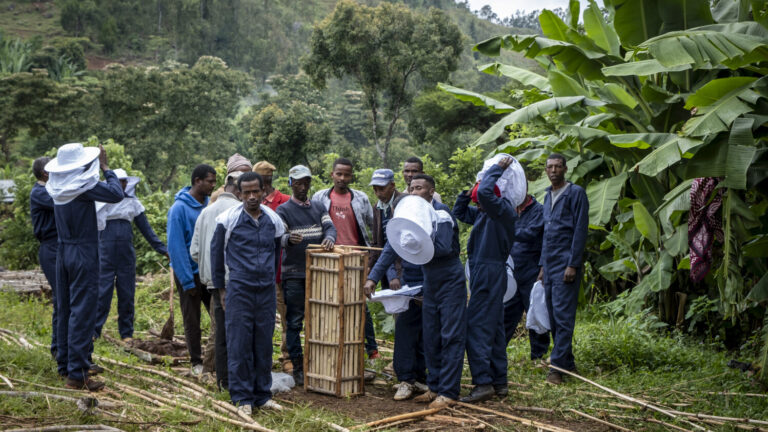 Beekeeper training in the Kawo Koysha project area.