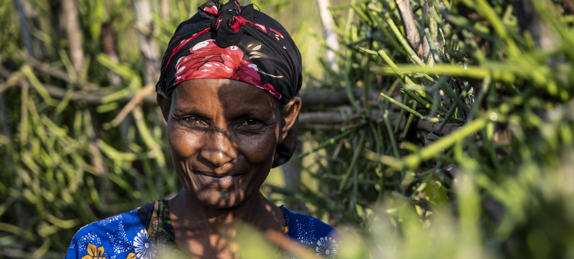 A woman is standing in the shadow of a tree.