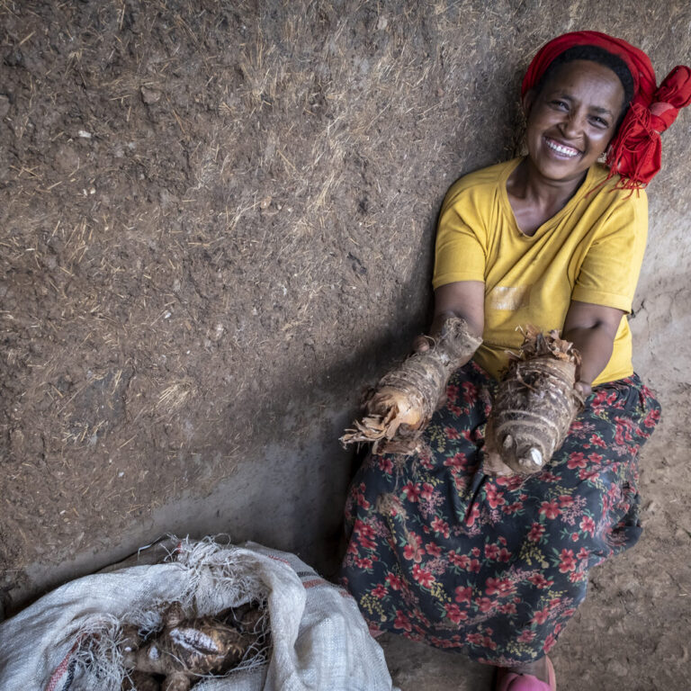 A female farmer proudly shows her freshly harvested sweet potatoes.