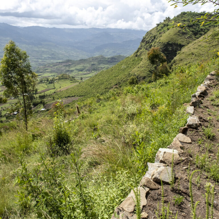 Hilly landscape with terraces to protect from landslides.