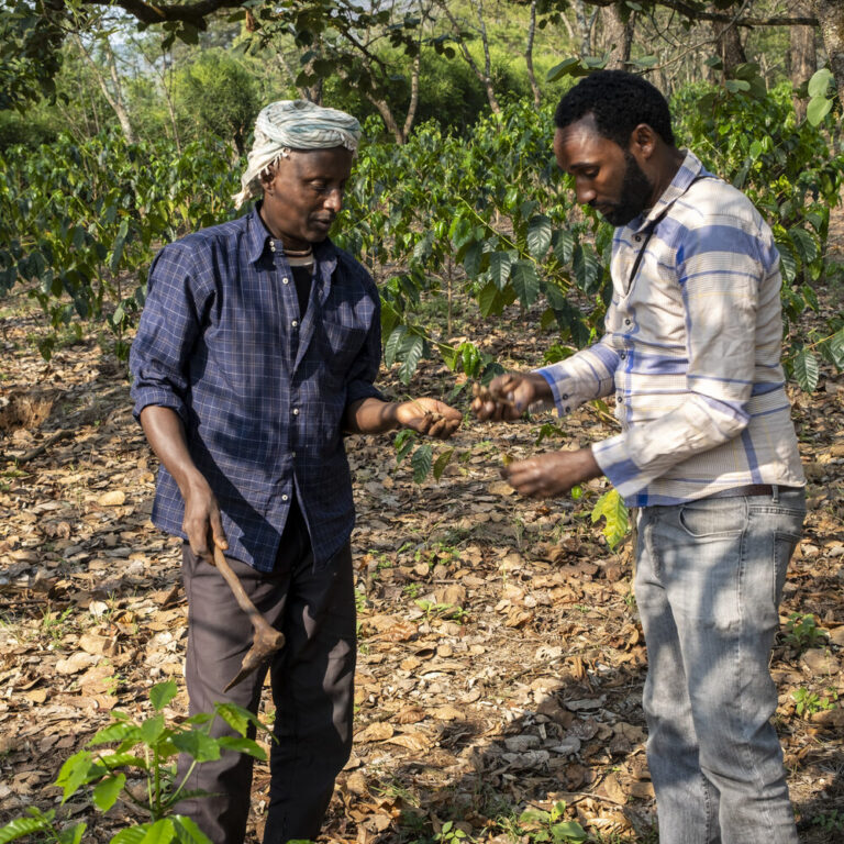 An employee of Menschen für Menschen conducting agricultural training in the field