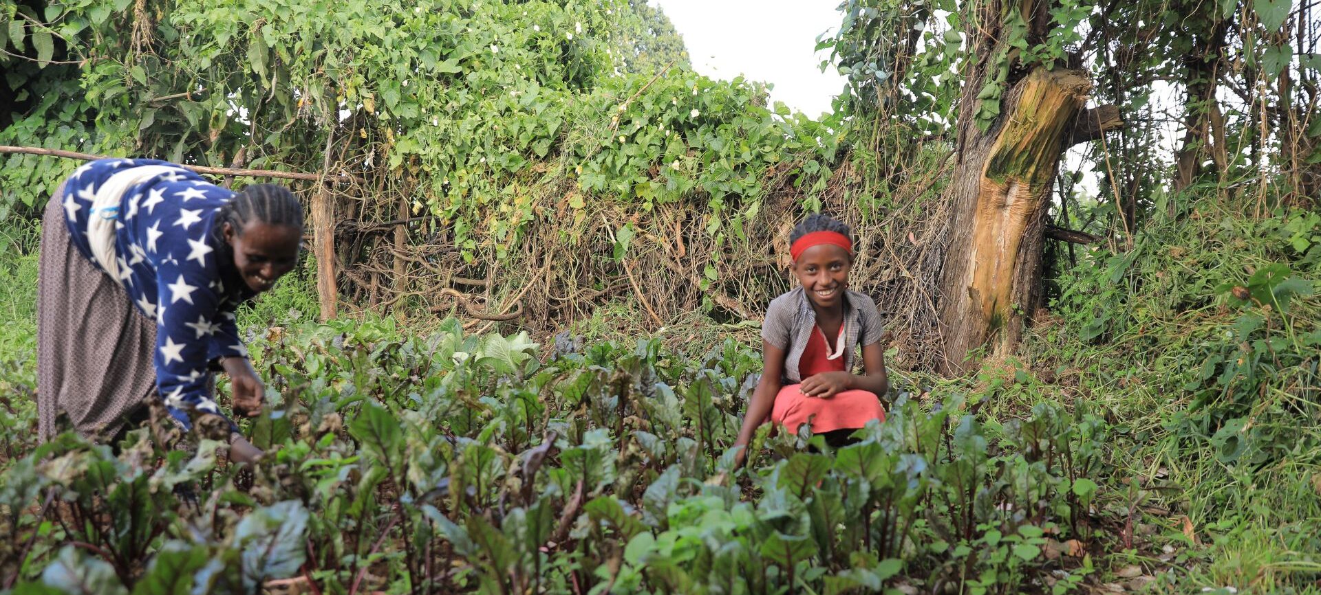A woman and a girl smiling and working in a green field.