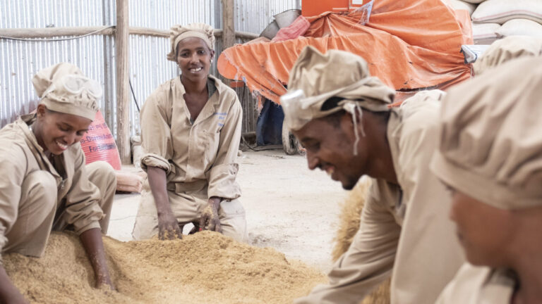 Young people work at the Green Innovation Centre in the Dano project area