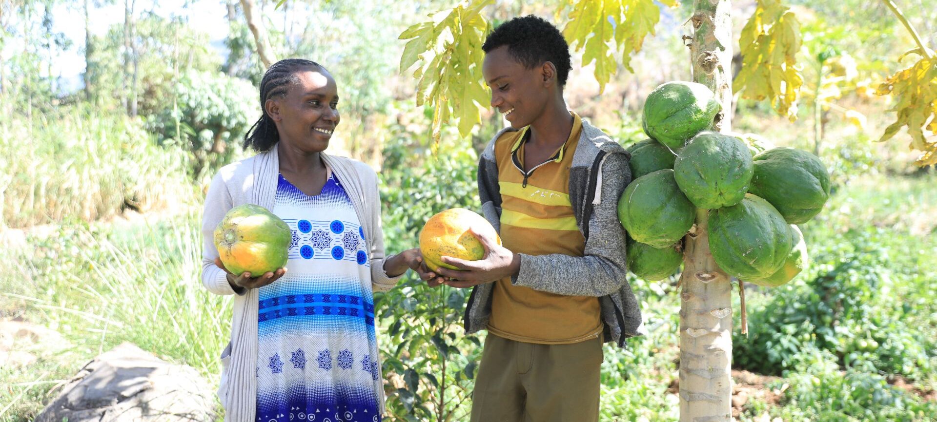A woman is handing a papaya to a young man next to a papaya tree.