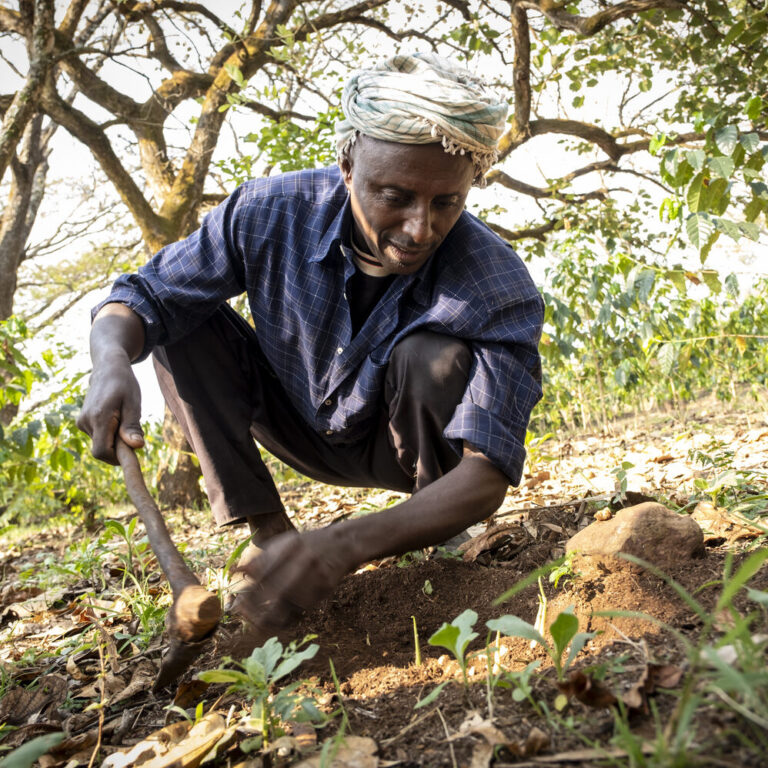 A man crouching down and working in a field.