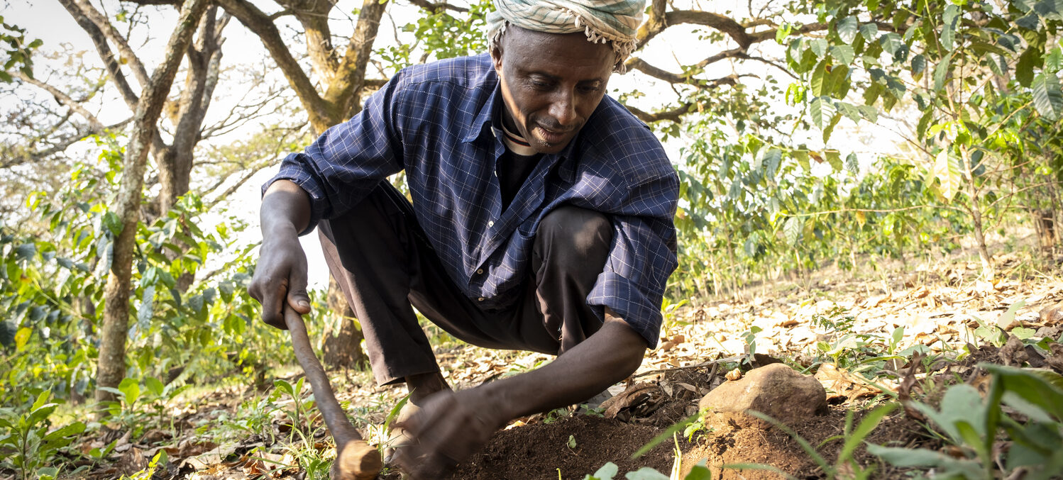 A man crouching down and working in a field.